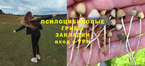 jwh Краснослободск