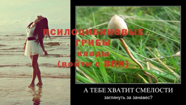 mdma Красноперекопск