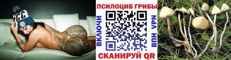 Псилоцибиновые грибы ЛСД Химки