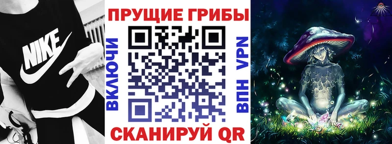 Галлюциногенные грибы мухоморы  даркнет наркотические препараты  Химки  закладки 