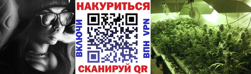 Бошки марихуана SATIVA & INDICA  Химки 
